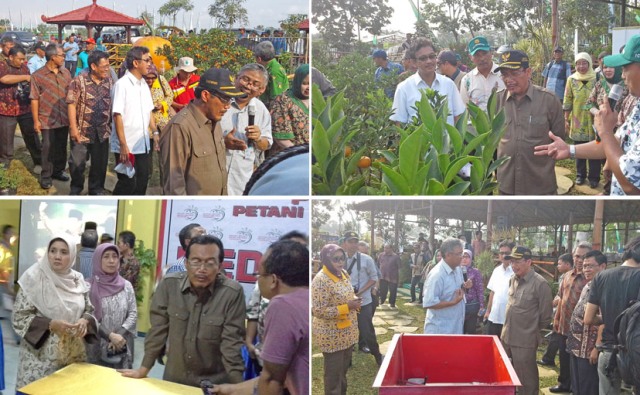 Mentan Suswono Tinjau Kesiapan PENAS 2014